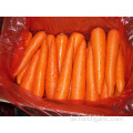 Größen80-150g Frische Karotten im Karton